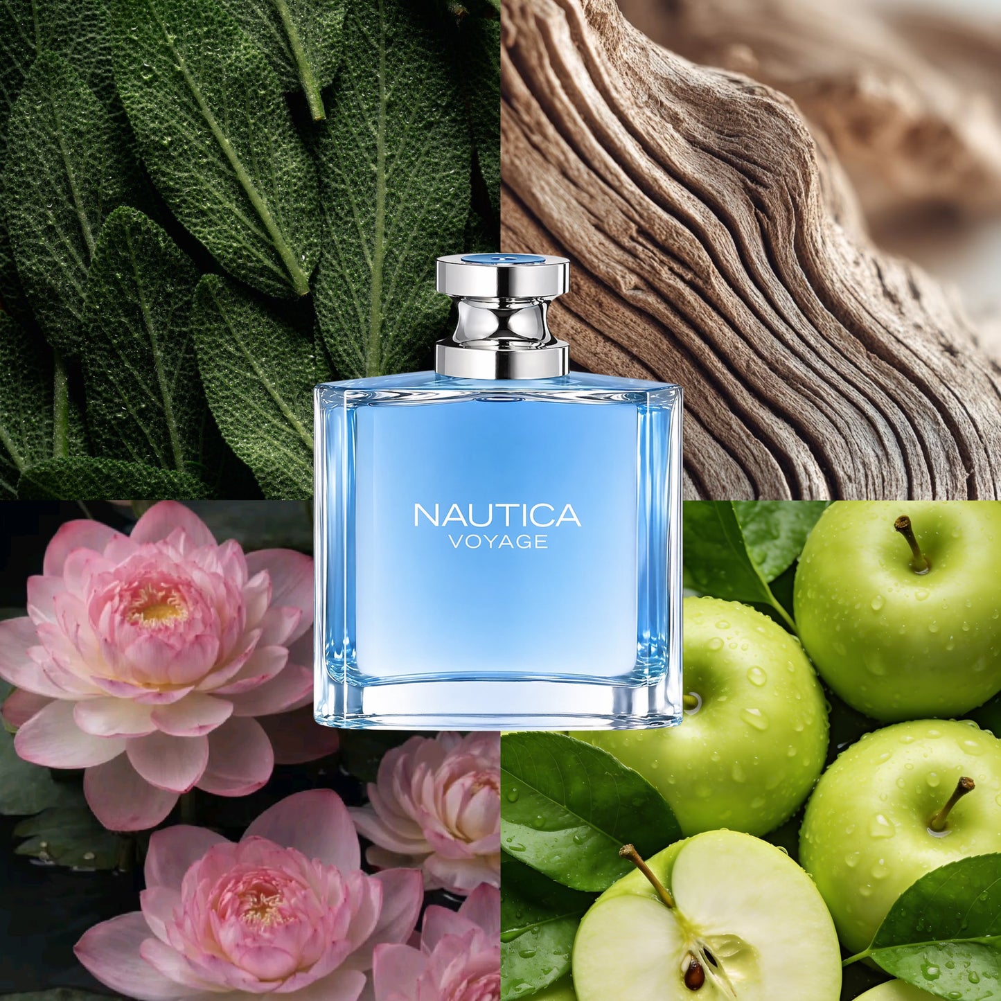 Nautica Voyage