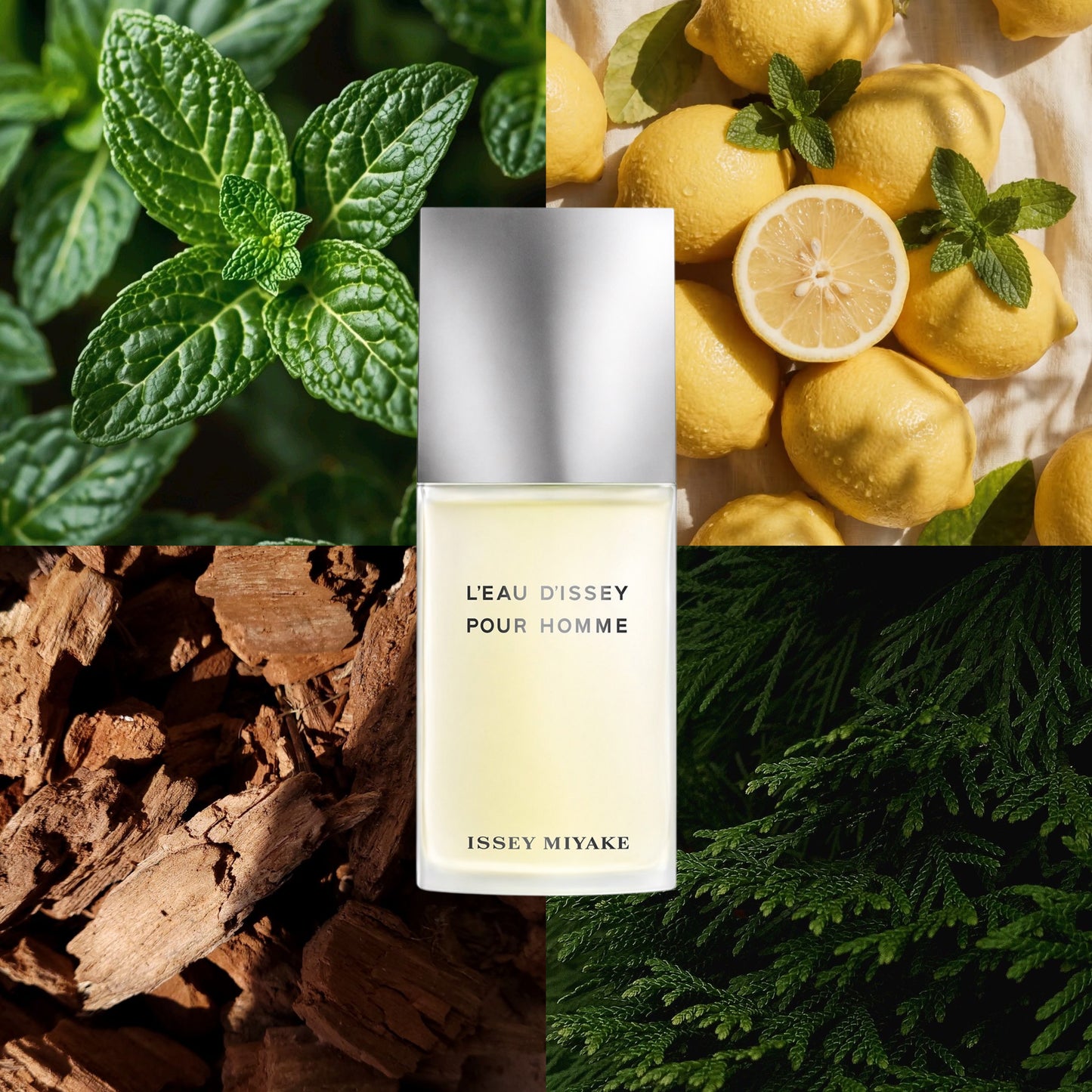 Issey Miyake L'Eau d'Issey Pour Homme EDT