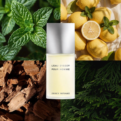 Issey Miyake L'Eau d'Issey Pour Homme EDT